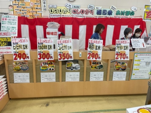 人気の玄米