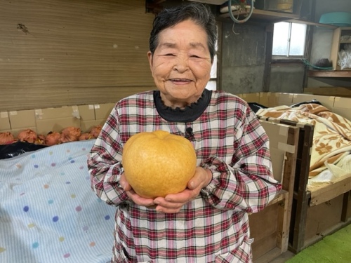 大きな大きな“あたご梨”