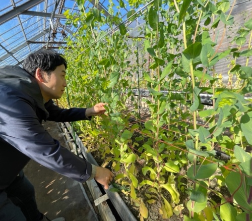 作業する森さん