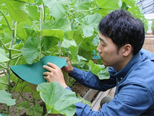 作業する森さん