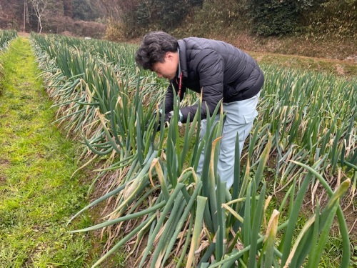 作業する下山さん