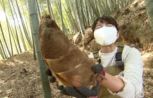自分で掘ったタケノコを掲げる古米さん