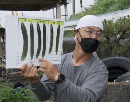 キュウリについて教えるJA晴れの国岡山久米南キュウリ部会の杉山美明さん