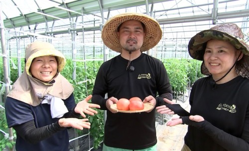JA晴れの国岡山びほくトマト部会の與田十也さん夫妻と研修生の矢尾さん