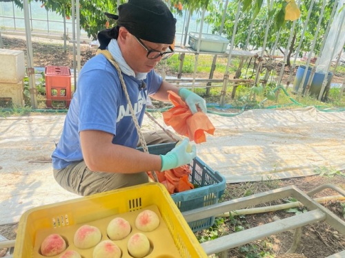 出荷作業をする石川さん
