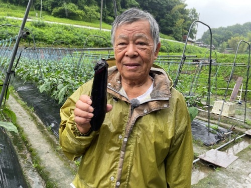 JA岡山足守なす部の金木薫部会長