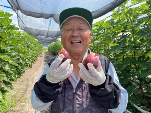 JA岡山高松いちじく部会の前田忠義部会長