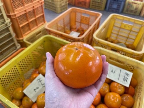 農産物紹介 JAグループ岡山 笑味（えみ）ちゃん天気予報 | RSK山陽放送