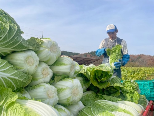 農作業をしている片山さん