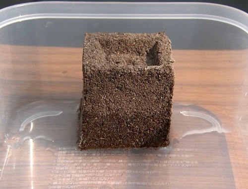 水を吸収するイチゴエクセルキューブ