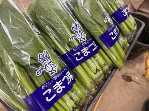 パッケージ袋に入れたコマツナ