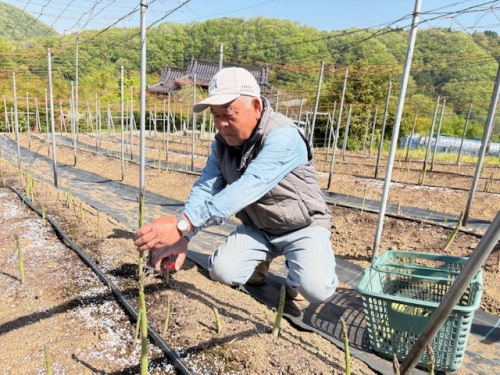 収穫する中村さん