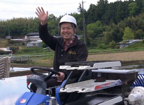 田植えが完了