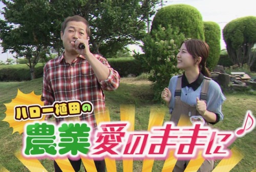 ハロー植田の農業“愛のままに♪”