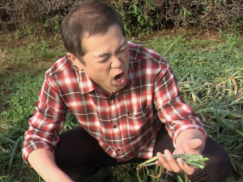 農作業をするハロー植田さん