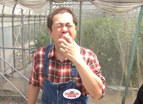 ハローさんに、 完熟した真っ赤な桃太郎トマトのごほうび！