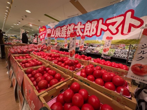 真っ赤なトマトがずらり！！