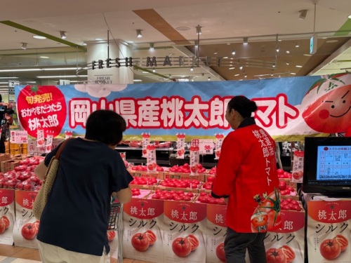 お客さんがトマトを手に取る姿