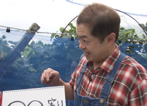 稲葉の実り
