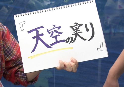 正解は… “天空の実り”です！