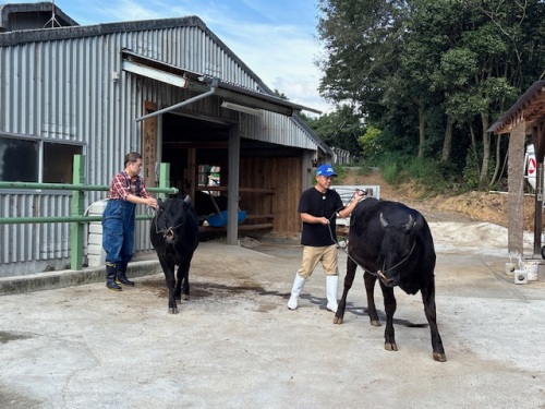 本番に向けての準備を手伝います