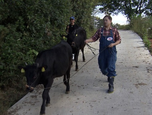ハローさん声がけ