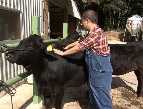 丁寧にブラッシング