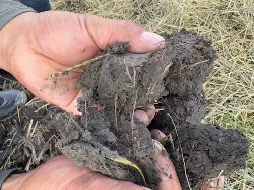 『土作り』に力を入れています。