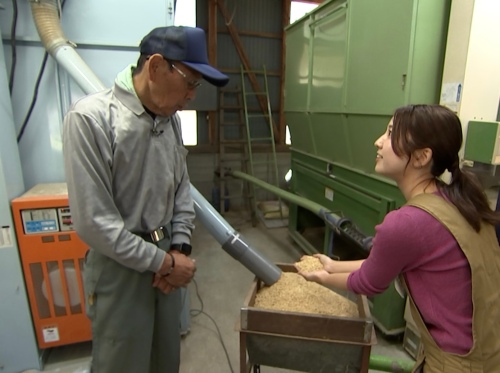 乾燥機に入れます