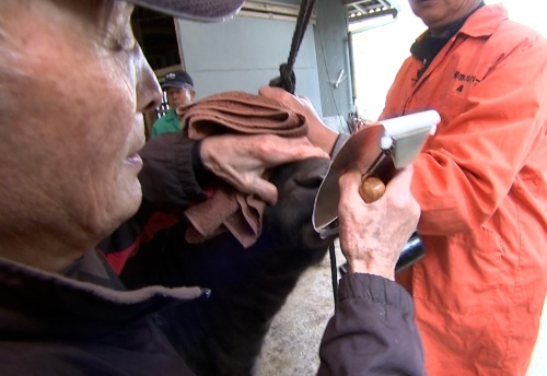 個体識別に登録