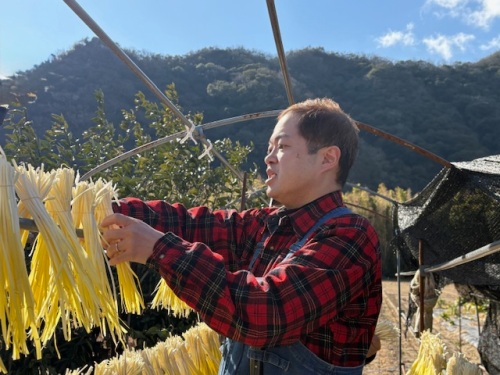 黄ニラを干すハローさん