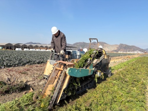機械を使って、どんどん収穫！