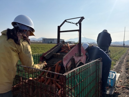 親子3人で力を合わせます