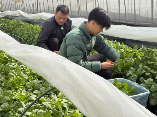 作業中の水島さんと悠斗さん