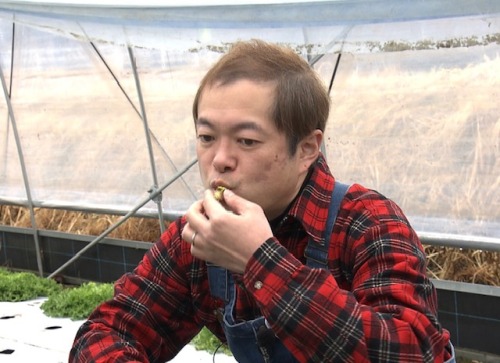 食べてみると…