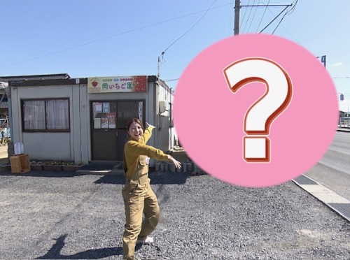 導入した&ldquo;あるもの&rdquo;