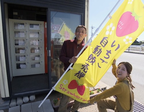 いちご自動販売機
