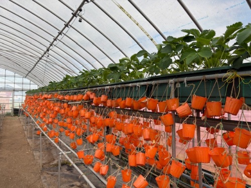 ズラリと並んだポット