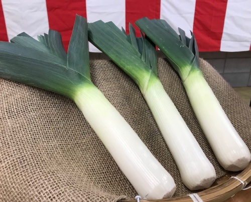 農産物紹介 Jaグループ岡山 笑味 えみ ちゃん天気予報 Rsk山陽放送 農産物紹介 Jaグループ岡山 笑味 えみ ちゃん天気予報 Rsk山陽放送
