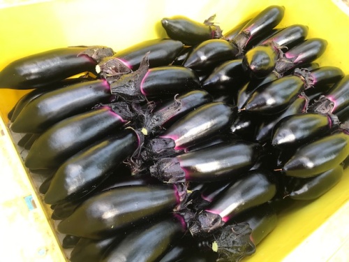 農産物紹介 JAグループ岡山 笑味（えみ）ちゃん天気予報 | RSK山陽放送