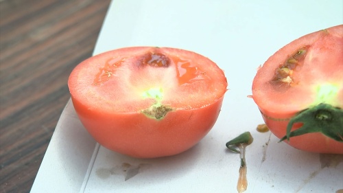トマトの断面写真