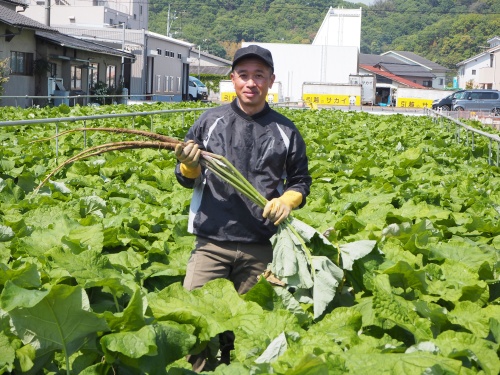 東部出荷組合の三宅伸博さん(50)
