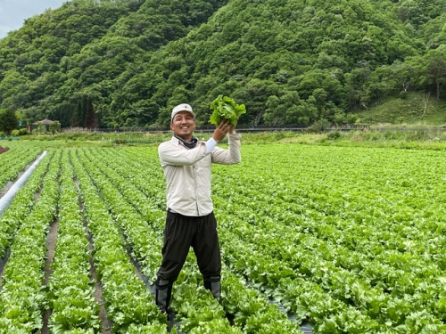 レタスをもっている入澤さん