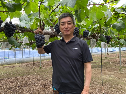 和田さん 和田さん