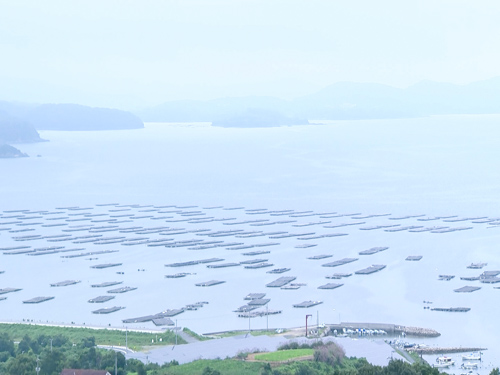 眺めのいい風景 眺めのいい風景