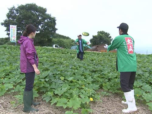 冬瓜を投げます 冬瓜を投げます