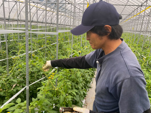 作業をしている原さん 作業をしている原さん