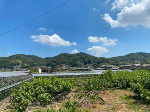 笠岡市茂平