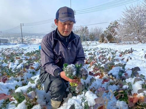 赤松さん作業している写真