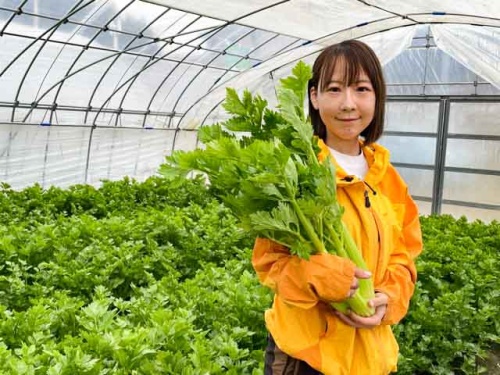 セロリを持つ高越さん
